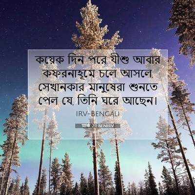 Picture 07 - মার্ক 2:1 BENIRV - কয়েক দিন পরে যীশু - Bible Verse Picture