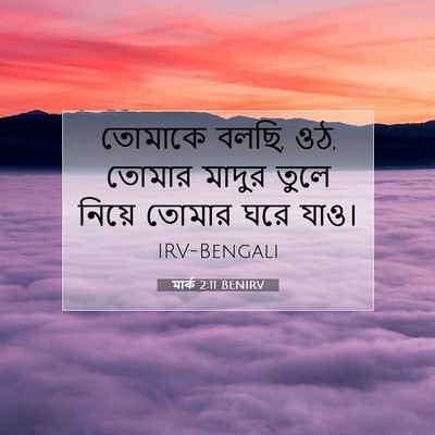 Picture 07 - মার্ক 2:11 BENIRV - তোমাকে বলছি, ওঠ, - Bible Verse Picture