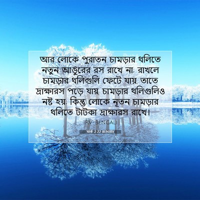 Picture 07 - মার্ক 2:22 BENIRV - আর লোকে পুরাতন - Bible Verse Picture