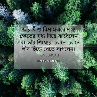 Picture 07 - মার্ক 2:23 BENIRV - আর যীশু - Bible Verse Picture