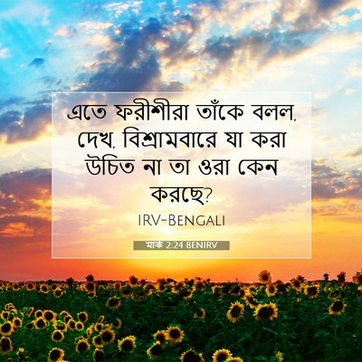 Picture 07 - মার্ক 2:24 BENIRV - এতে ফরীশীরা তাঁকে - Bible Verse Picture