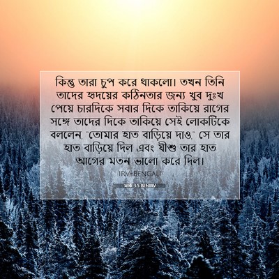 Picture 07 - মার্ক 3:5 BENIRV - কিন্তু তারা চুপ - Bible Verse Picture