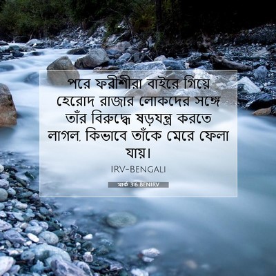 Picture 07 - মার্ক 3:6 BENIRV - পরে ফরীশীরা বাইরে - Bible Verse Picture