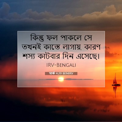Picture 07 - মার্ক 4:29 BENIRV - কিন্তু ফল পাকলে সে - Bible Verse Picture
