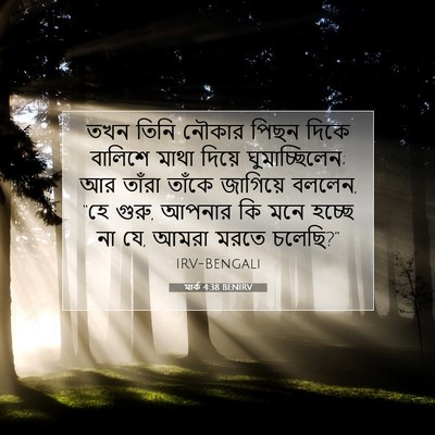 Picture 07 - মার্ক 4:38 BENIRV - তখন তিনি নৌকার - Bible Verse Picture