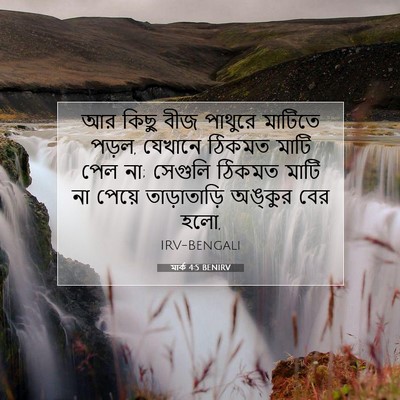 Picture 07 - মার্ক 4:5 BENIRV - আর কিছু বীজ পাথুরে - Bible Verse Picture