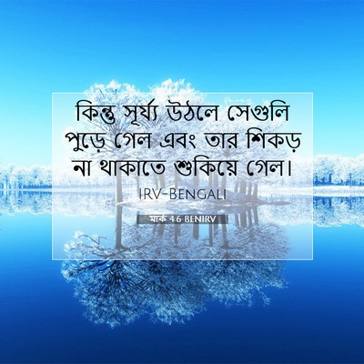 Picture 07 - মার্ক 4:6 BENIRV - কিন্তু সূর্য্য - Bible Verse Picture
