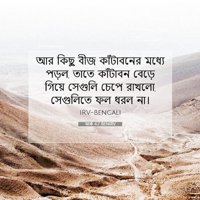 Picture 07 - মার্ক 4:7 BENIRV - আর কিছু বীজ - Bible Verse Picture