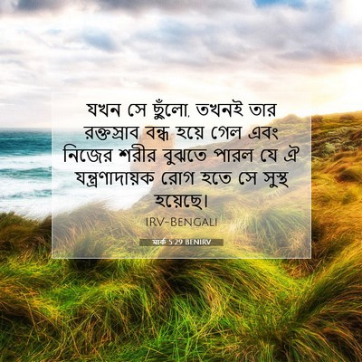 Picture 07 - মার্ক 5:29 BENIRV - যখন সে ছুঁলো, তখনই - Bible Verse Picture