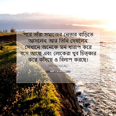 Picture 07 - মার্ক 5:38 BENIRV - পরে তাঁরা সমাজের - Bible Verse Picture