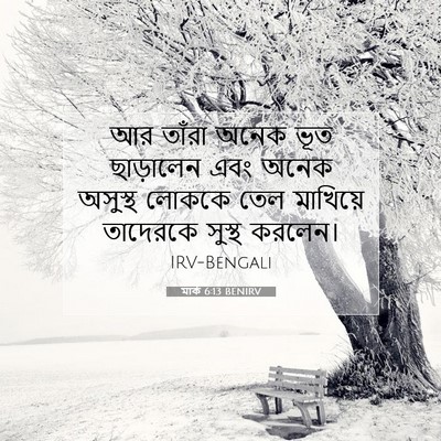 Picture 07 - মার্ক 6:13 BENIRV - আর তাঁরা অনেক ভূত - Bible Verse Picture