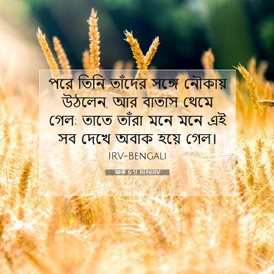 Picture 07 - মার্ক 6:51 BENIRV - পরে তিনি তাঁদের - Bible Verse Picture
