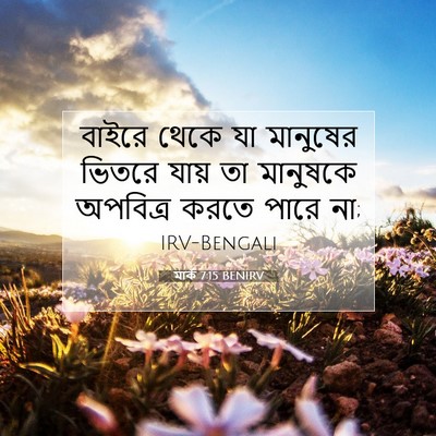Picture 07 - মার্ক 7:15 BENIRV - বাইরে থেকে যা - Bible Verse Picture