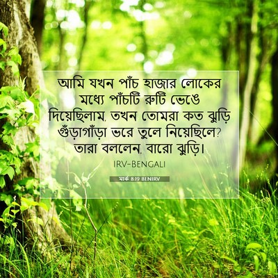Picture 07 - মার্ক 8:19 BENIRV - আমি যখন পাঁচ হাজার - Bible Verse Picture
