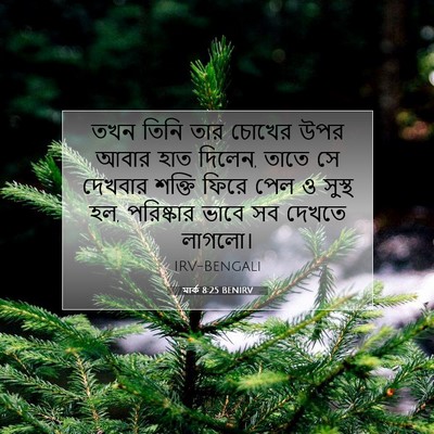 Picture 07 - মার্ক 8:25 BENIRV - তখন তিনি তার চোখের - Bible Verse Picture