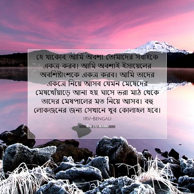 Picture 07 - মীখা 2:12 BENIRV - হে যাকোব, আমি অবশ্য - Bible Verse Picture
