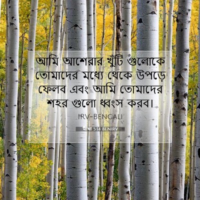 Picture 07 - মীখা 5:14 BENIRV - আমি আশেরার খুঁটি - Bible Verse Picture