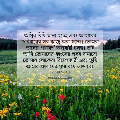 Picture 07 - মীখা 6:16 BENIRV - অম্রির বিধি মানা - Bible Verse Picture
