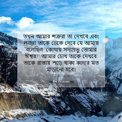 Picture 07 - মীখা 7:10 BENIRV - তখন আমার শত্রুরা - Bible Verse Picture