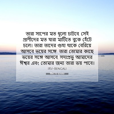 Picture 07 - মীখা 7:17 BENIRV - তারা সাপের মত ধূলো - Bible Verse Picture