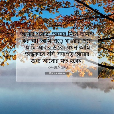 Picture 07 - মীখা 7:8 BENIRV - আমার শত্রুরা, আমার - Bible Verse Picture