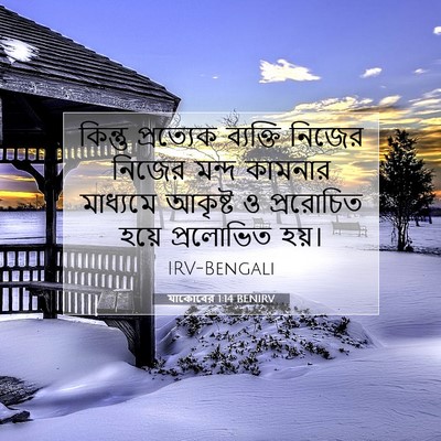 Picture 07 - যাকোবের 1:14 BENIRV - কিন্তু প্রত্যেক - Bible Verse Picture