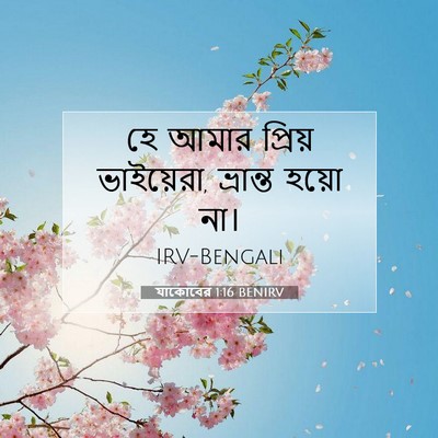 Picture 07 - যাকোবের 1:16 BENIRV - হে আমার প্রিয় - Bible Verse Picture