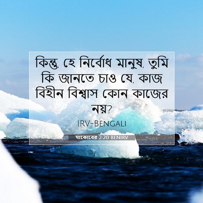 Picture 07 - যাকোবের 2:20 BENIRV - কিন্তু, হে নির্বোধ - Bible Verse Picture
