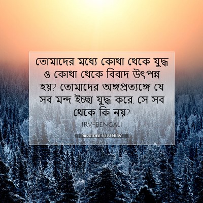 Picture 07 - যাকোবের 4:1 BENIRV - তোমাদের মধ্যে - Bible Verse Picture