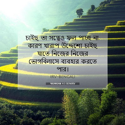 Picture 07 - যাকোবের 4:3 BENIRV - চাইছ, তা সত্বেও ফল - Bible Verse Picture