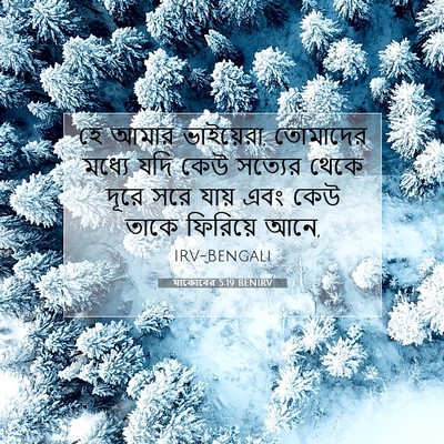 Picture 07 - যাকোবের 5:19 BENIRV - হে আমার ভাইয়েরা, - Bible Verse Picture