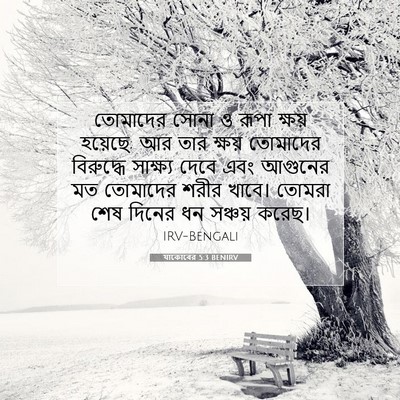 Picture 07 - যাকোবের 5:3 BENIRV - তোমাদের সোনা ও - Bible Verse Picture