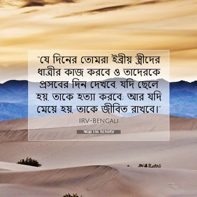 Picture 07 - যাত্ৰা 1:16 BENIRV - “যে দিনের তোমরা - Bible Verse Picture