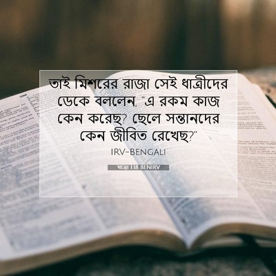 Picture 07 - যাত্ৰা 1:18 BENIRV - তাই মিশরের রাজা - Bible Verse Picture