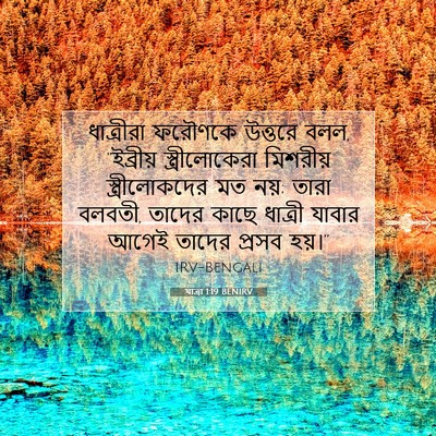 Picture 07 - যাত্ৰা 1:19 BENIRV - ধাত্রীরা ফরৌণকে - Bible Verse Picture