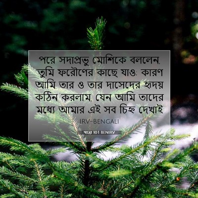 Picture 07 - যাত্ৰা 10:1 BENIRV - পরে সদাপ্রভু - Bible Verse Picture