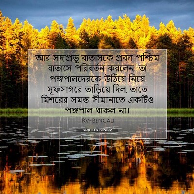 Picture 07 - যাত্ৰা 10:19 BENIRV - আর সদাপ্রভু - Bible Verse Picture