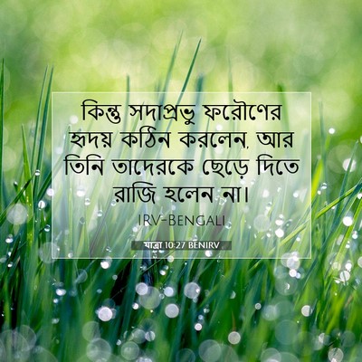 Picture 07 - যাত্ৰা 10:27 BENIRV - কিন্তু সদাপ্রভু - Bible Verse Picture