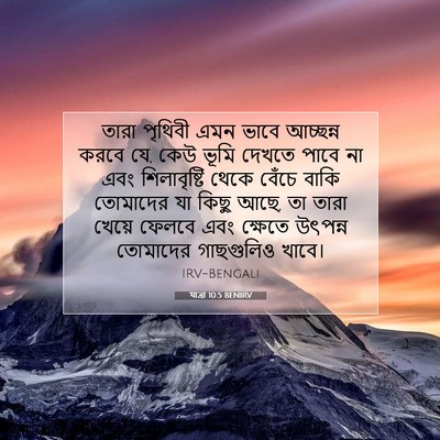 Picture 07 - যাত্ৰা 10:5 BENIRV - তারা পৃথিবী এমন - Bible Verse Picture