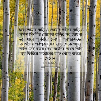 Picture 07 - যাত্ৰা 10:6 BENIRV - আর তোমার বাড়ি ও - Bible Verse Picture
