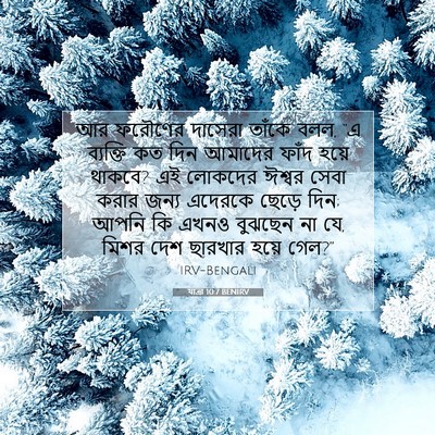 Picture 07 - যাত্ৰা 10:7 BENIRV - আর ফরৌণের দাসেরা - Bible Verse Picture