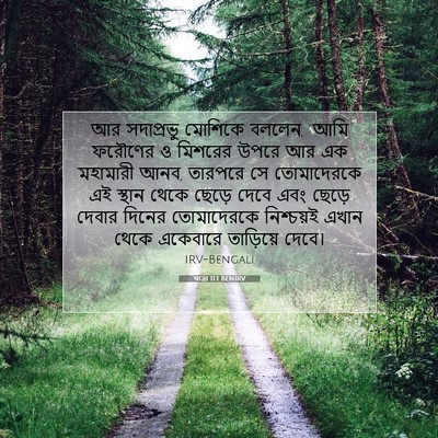 Picture 07 - যাত্ৰা 11:1 BENIRV - আর সদাপ্রভু - Bible Verse Picture