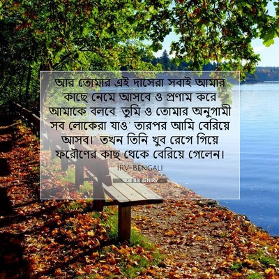 Picture 07 - যাত্ৰা 11:8 BENIRV - আর তোমার এই দাসেরা - Bible Verse Picture