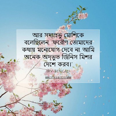 Picture 07 - যাত্ৰা 11:9 BENIRV - আর সদাপ্রভু - Bible Verse Picture