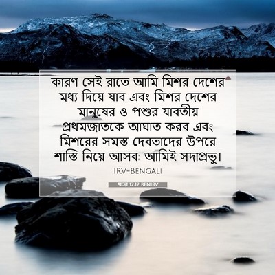 Picture 07 - যাত্ৰা 12:12 BENIRV - কারণ সেই রাতে আমি - Bible Verse Picture