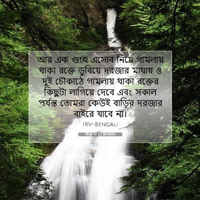 Picture 07 - যাত্ৰা 12:22 BENIRV - আর এক গুচ্ছ এসোব - Bible Verse Picture