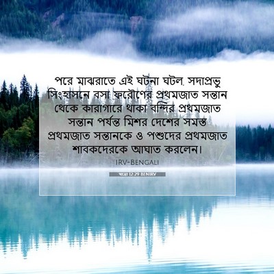 Picture 07 - যাত্ৰা 12:29 BENIRV - পরে মাঝরাতে এই - Bible Verse Picture