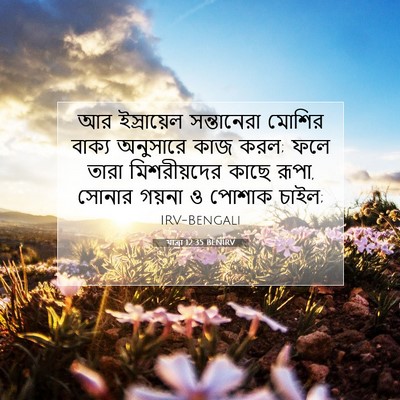 Picture 07 - যাত্ৰা 12:35 BENIRV - আর ইস্রায়েল - Bible Verse Picture