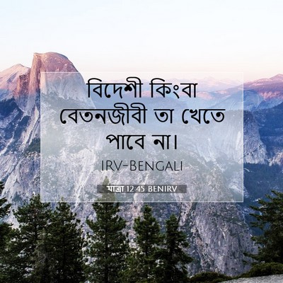 Picture 07 - যাত্ৰা 12:45 BENIRV - বিদেশী কিংবা - Bible Verse Picture