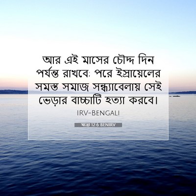 Picture 07 - যাত্ৰা 12:6 BENIRV - আর এই মাসের চৌদ্দ - Bible Verse Picture